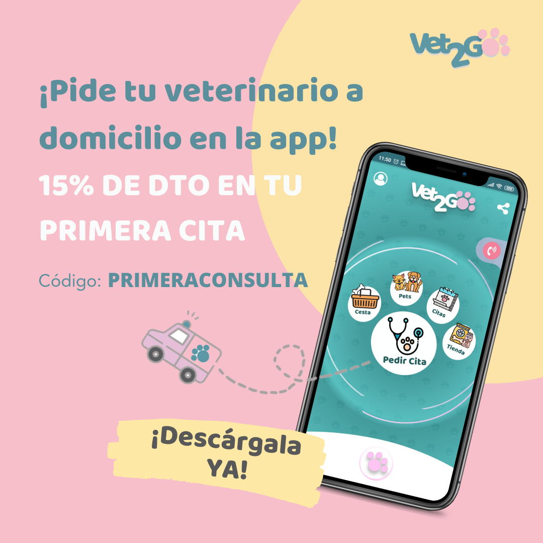 Esterilizar una gata en Madrid - Vet2Go veterinario a domicilio