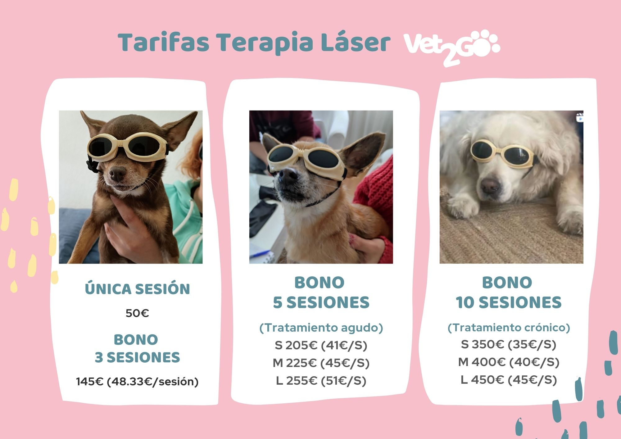Terapia láser perros y gatos - Vet2Go láser a domicilio en Madrid